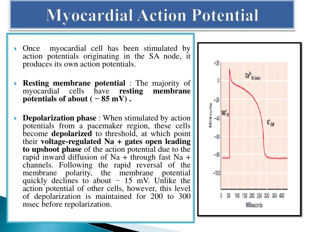 once myocardial cell has been stimulated