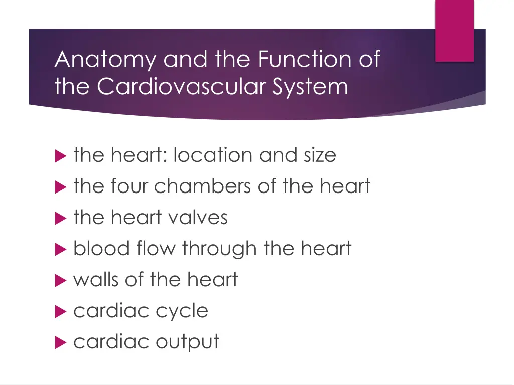 anatomy and the function of the cardiovascular