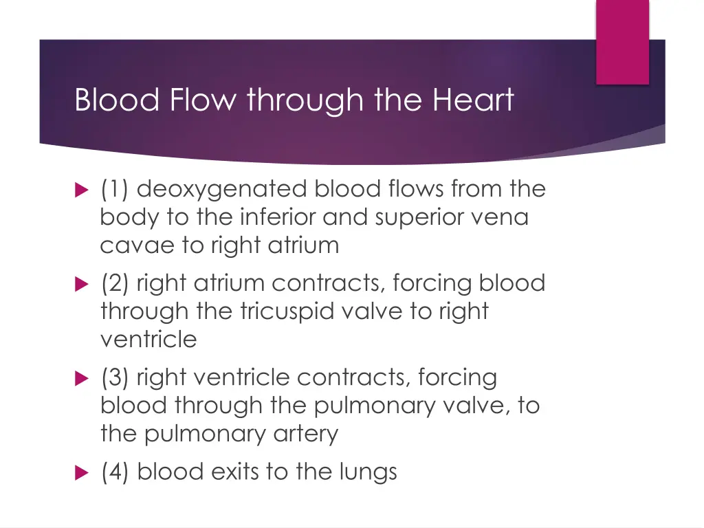 blood flow through the heart