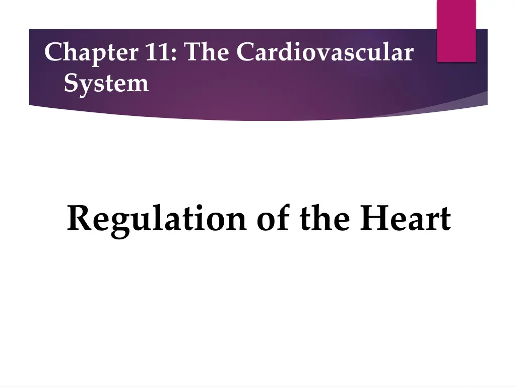 chapter 11 the cardiovascular system 1