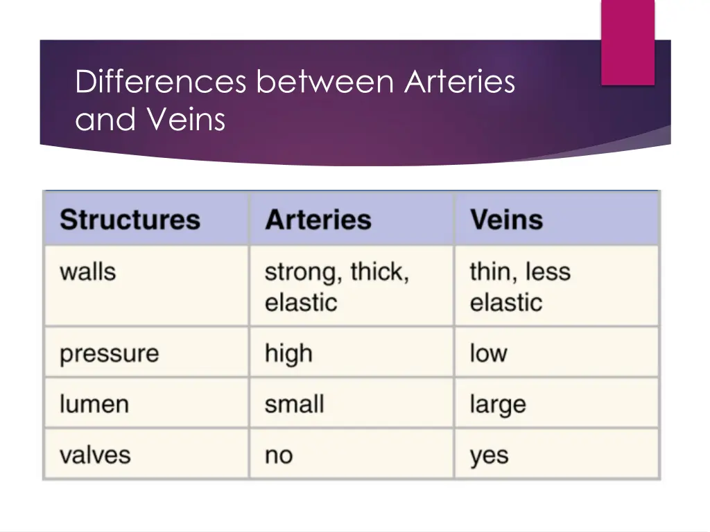 differences between arteries and veins