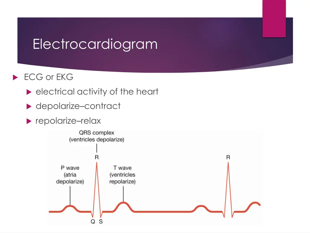 electrocardiogram