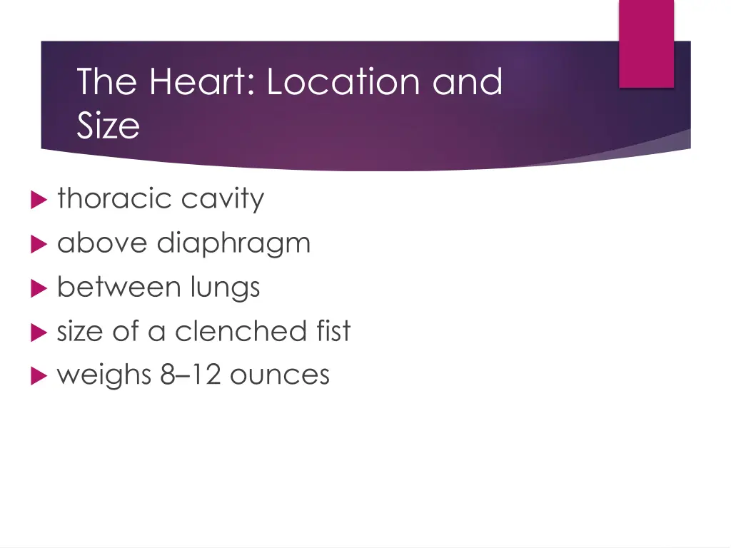 the heart location and size