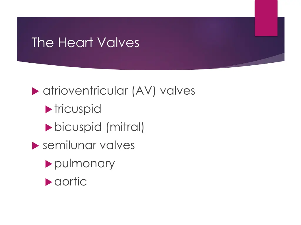 the heart valves