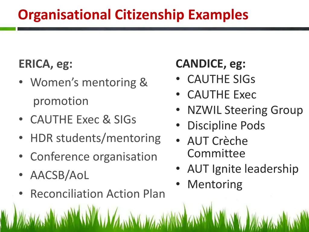 organisational citizenship examples