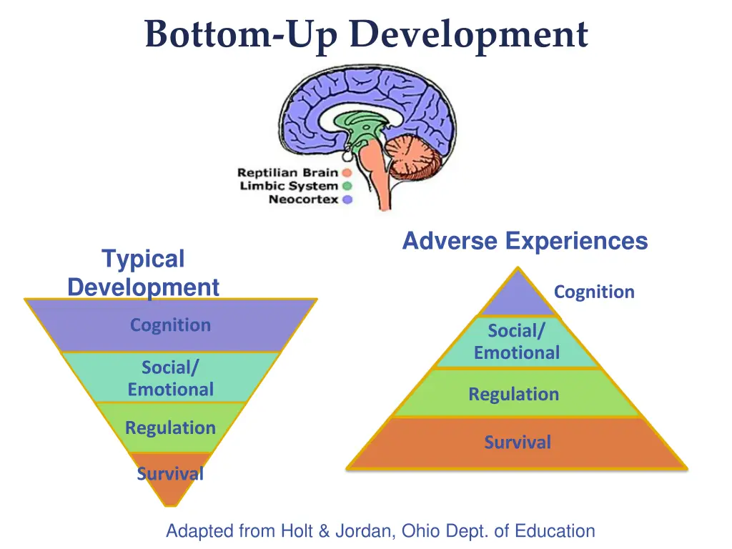 bottom up development