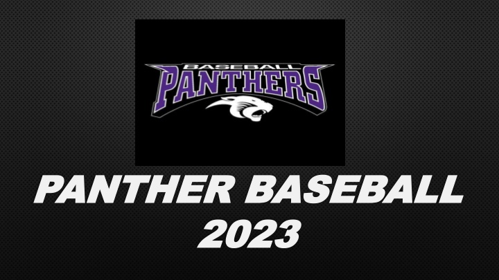 panther panther baseball baseball 2023 2023