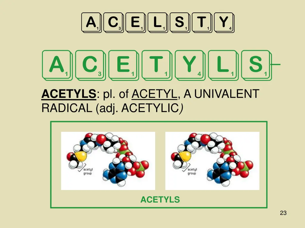 acelsty