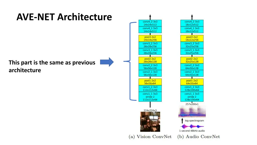 ave net architecture