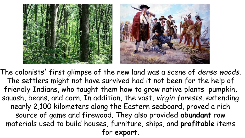 the colonists first glimpse of the new land