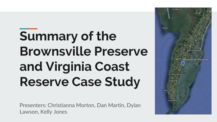 summary of the brownsville preserve and virginia