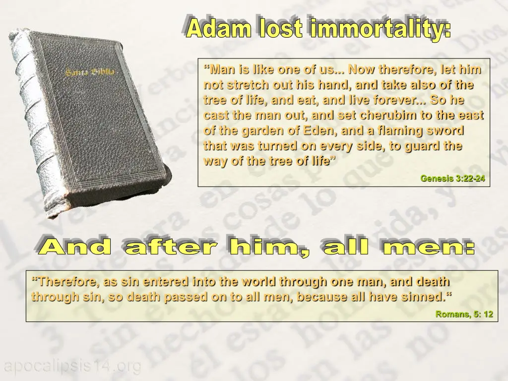 adam lost immortality