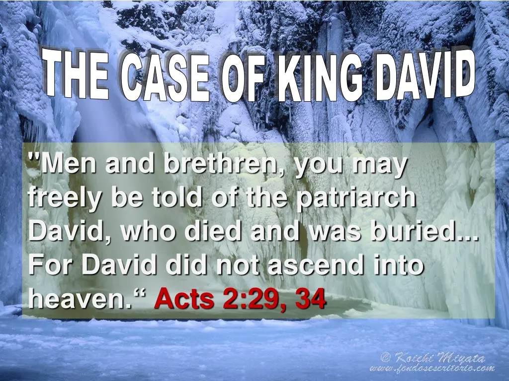 the case of king david