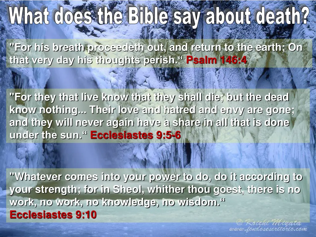 what does the bible say about death