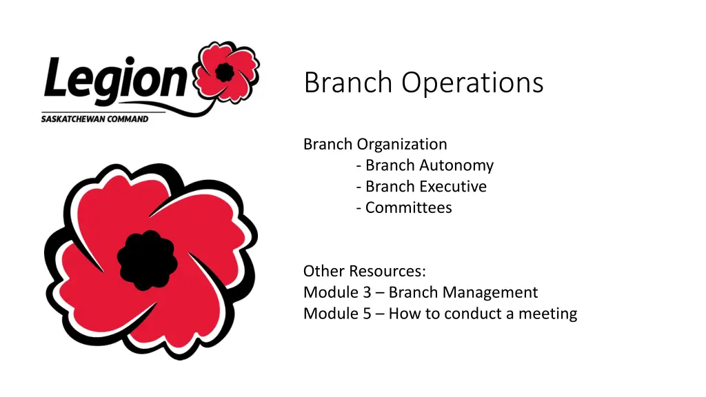 branch operations