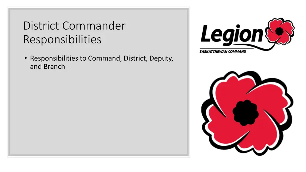 district commander responsibilities 1