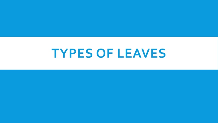 types of leaves