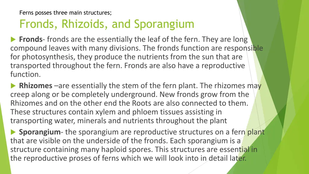 ferns posses three main structures