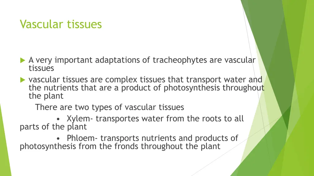 vascular tissues