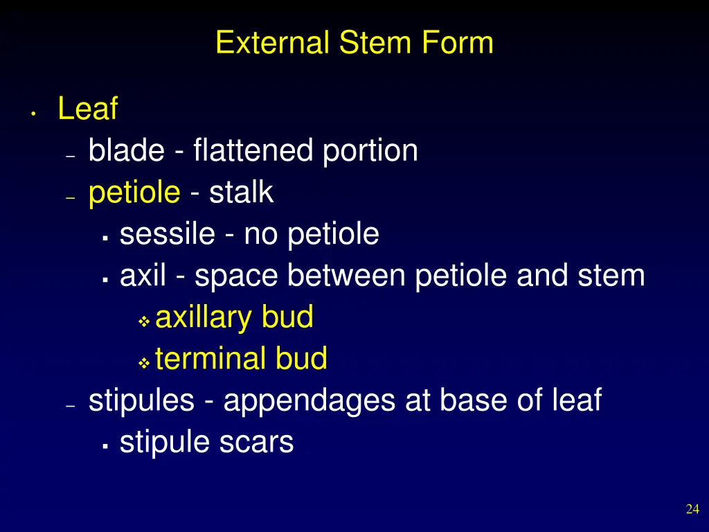 external stem form