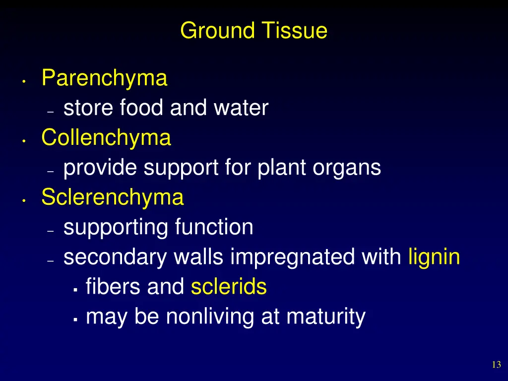 ground tissue