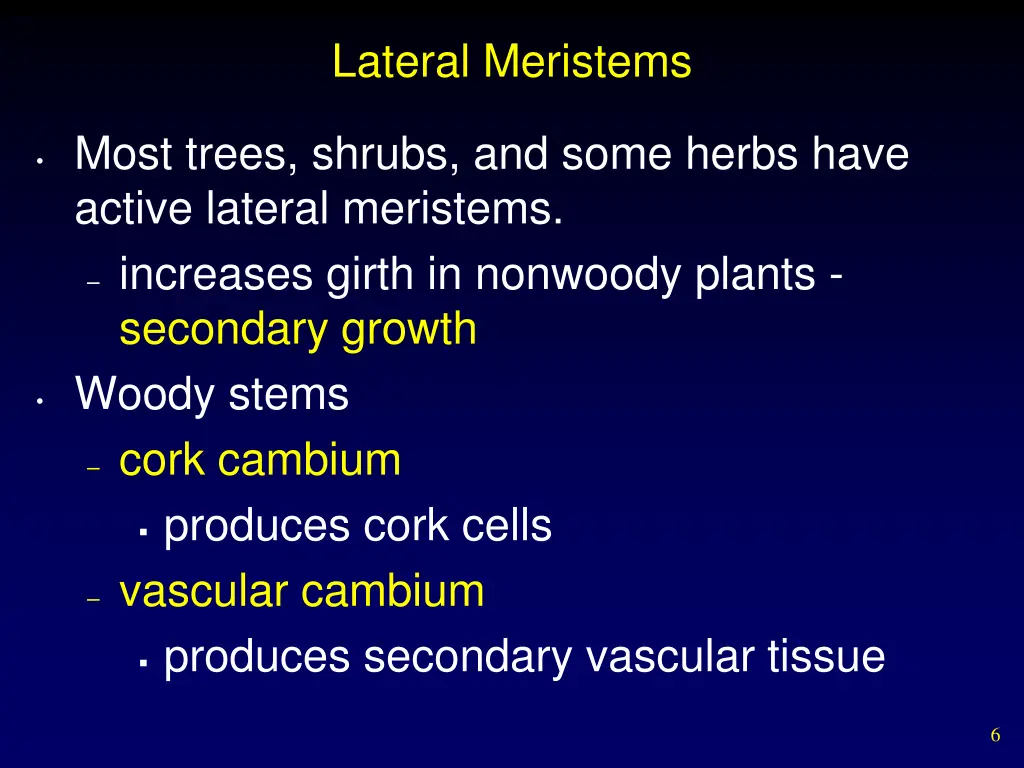 lateral meristems