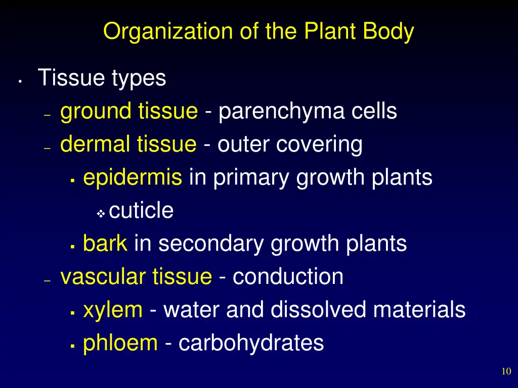 organization of the plant body 1