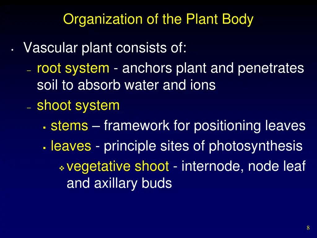 organization of the plant body