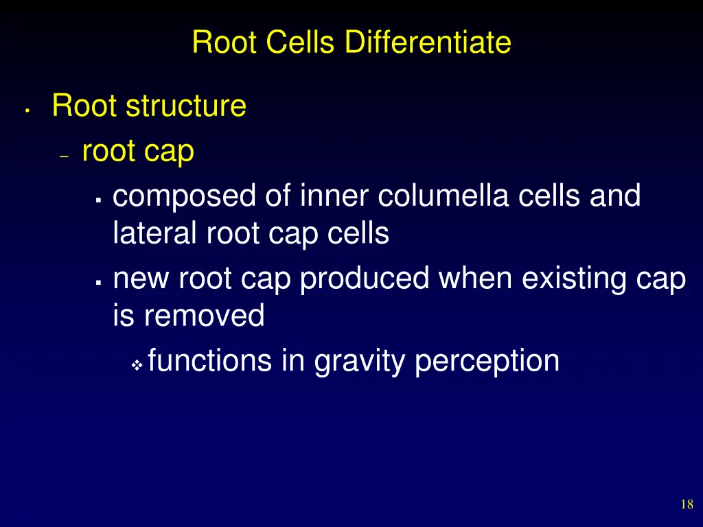 root cells differentiate