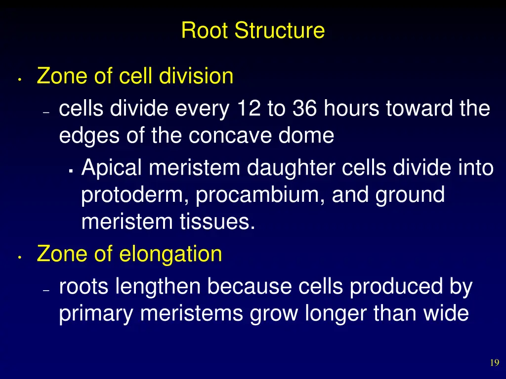 root structure