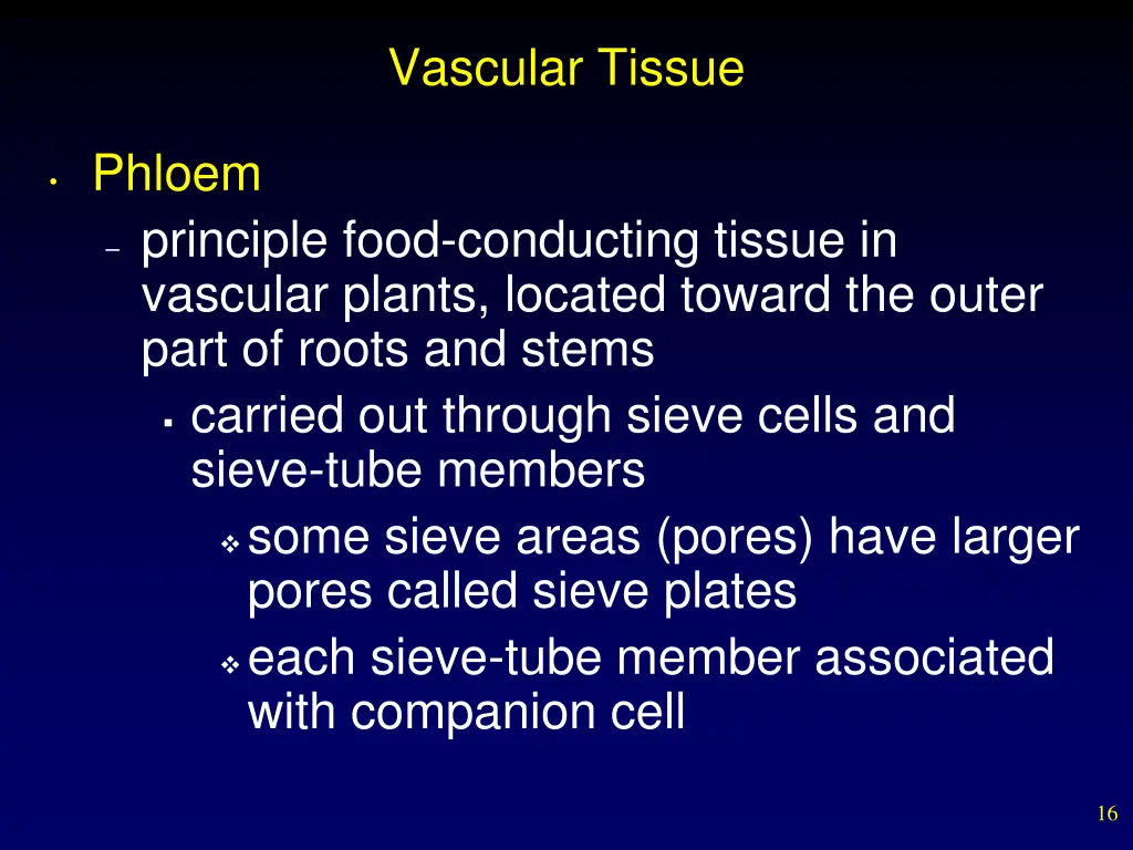 vascular tissue 1