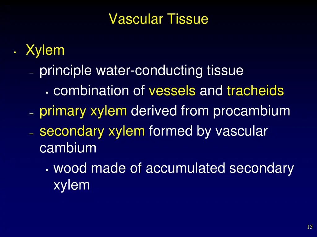 vascular tissue