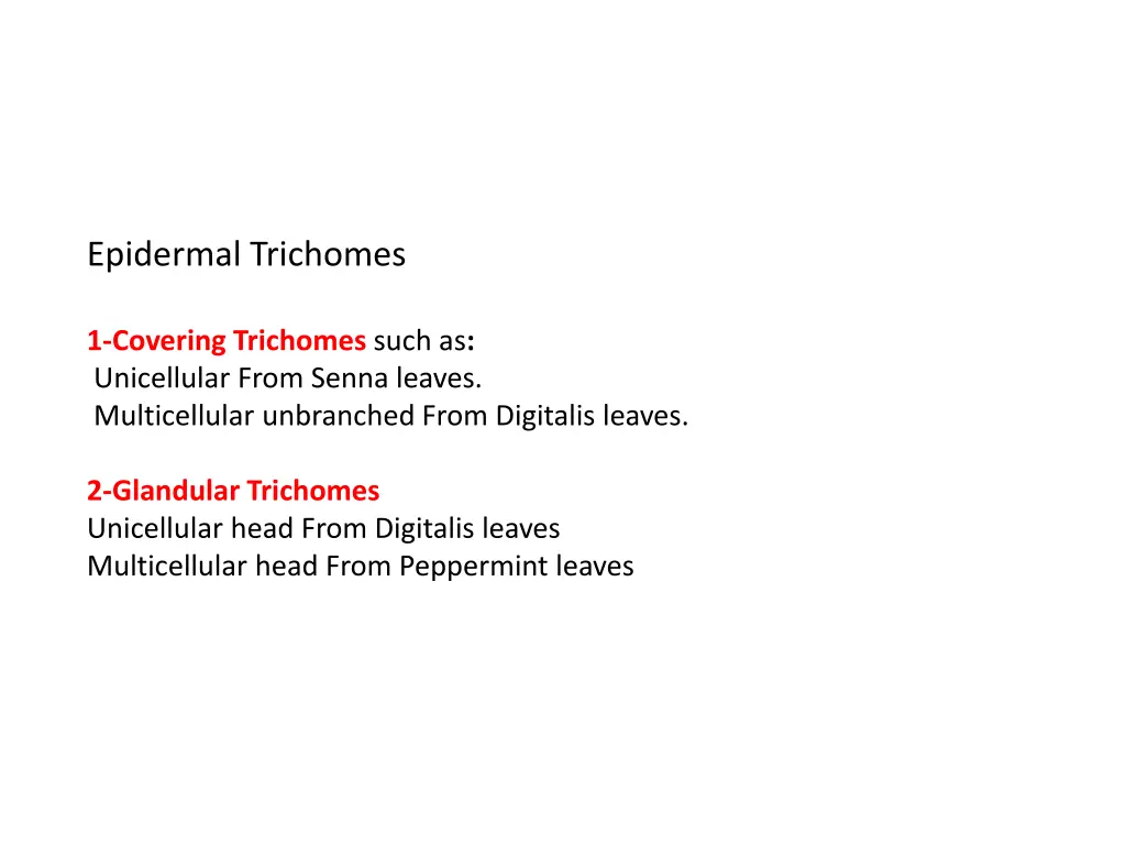 epidermal trichomes