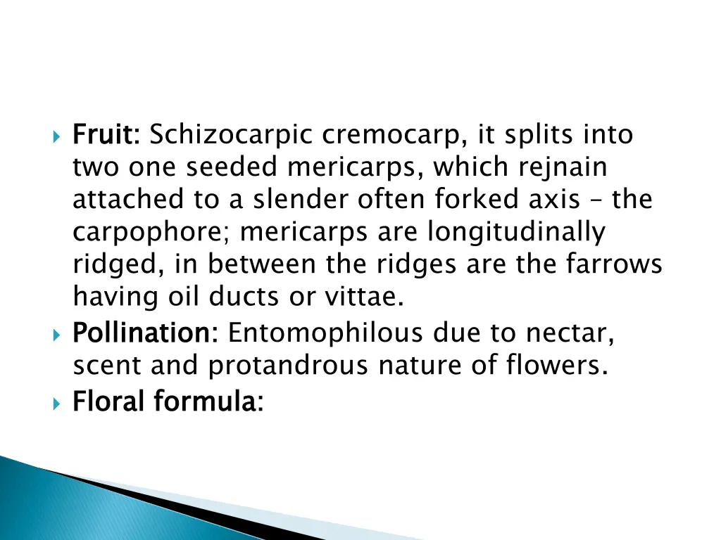 fruit two one seeded mericarps which rejnain