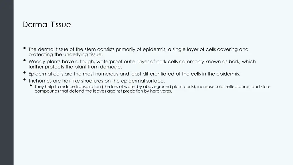 dermal tissue