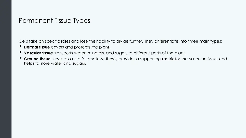 permanent tissue types