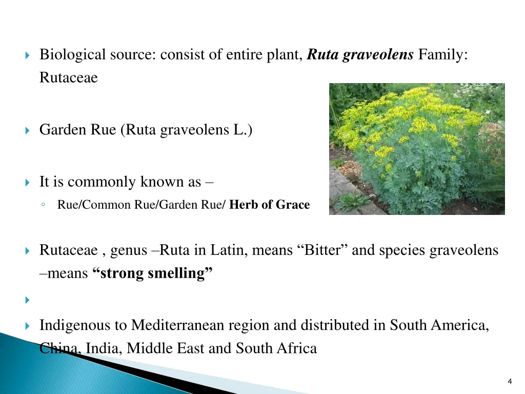 biological source consist of entire plant ruta