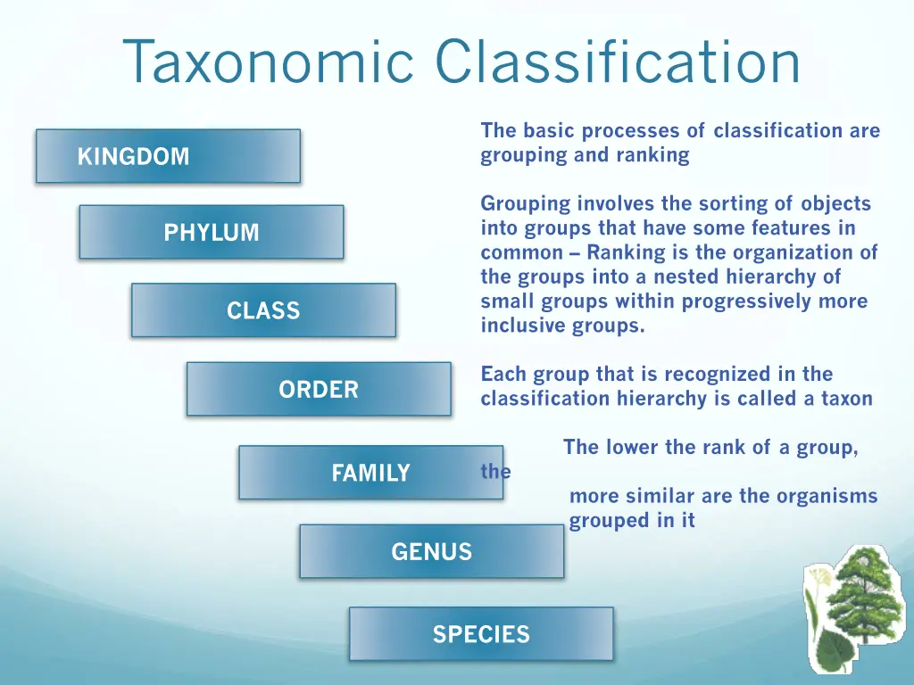 taxonomic classification