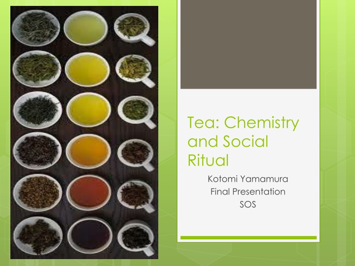 tea chemistry and social ritual kotomi yamamura