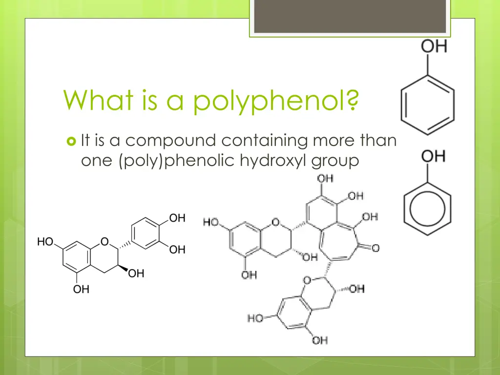 what is a polyphenol