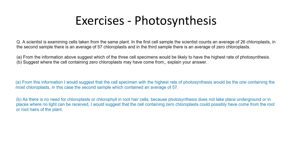 exercises photosynthesis 1