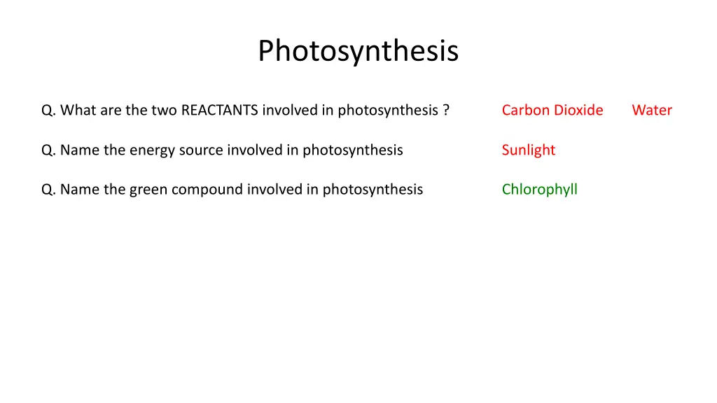 photosynthesis 5