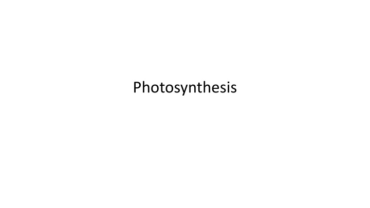 photosynthesis