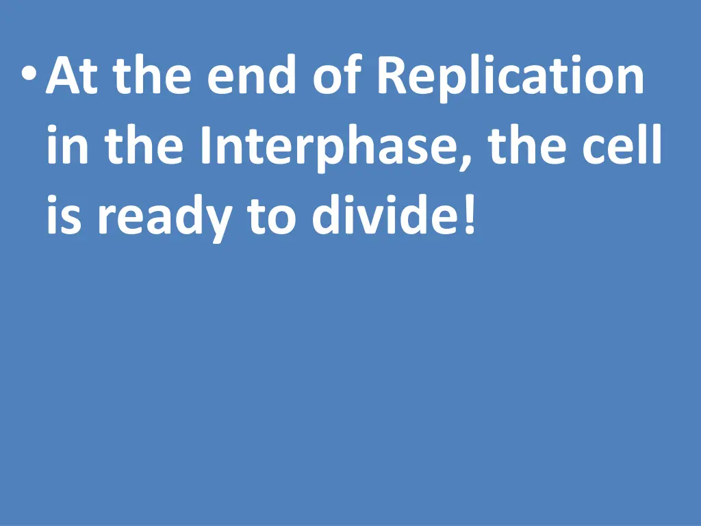 at the end of replication in the interphase