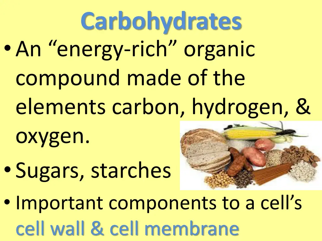 carbohydrates an energy rich organic compound