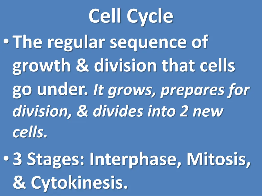 cell cycle