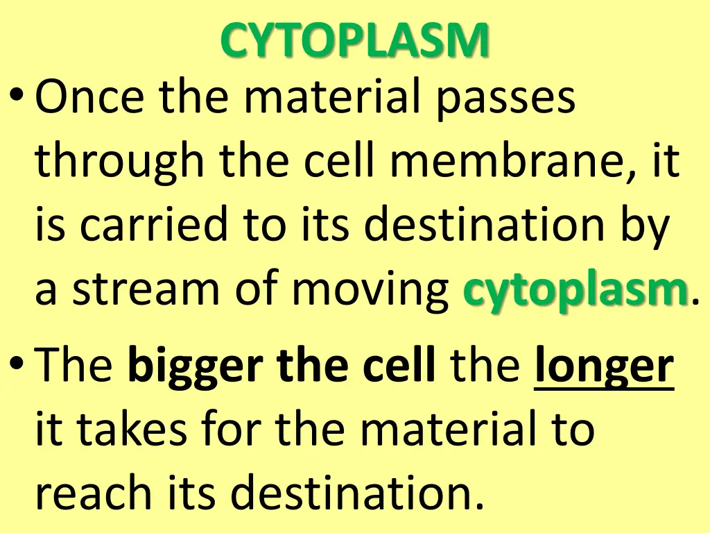 cytoplasm