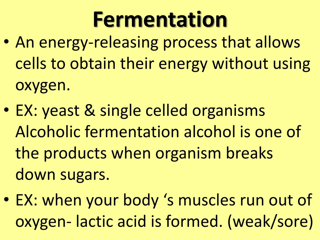 fermentation