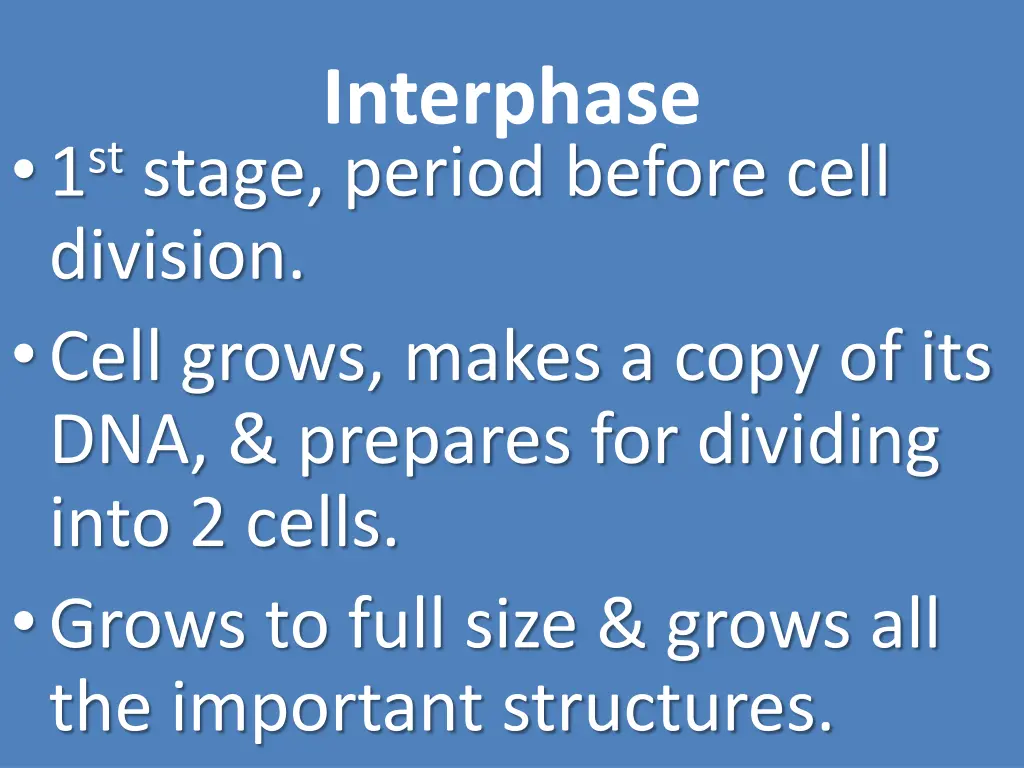 interphase