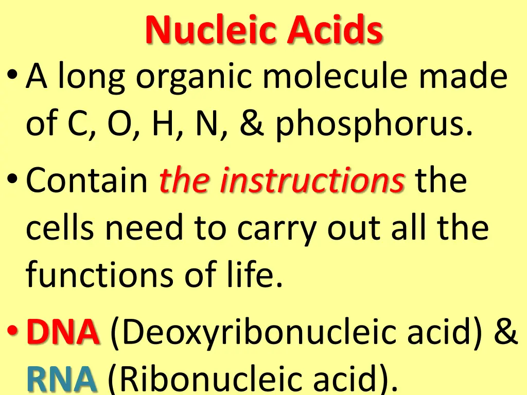 nucleic acids